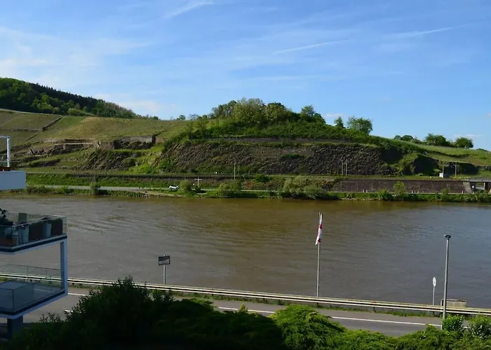 Layer Moselbogen * Koblenz